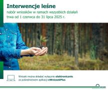 Zdjęcie - Lasy rosną ze wsparciem