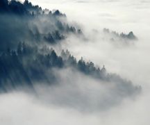 Zdjęcie - Ostrzeżenie meteorologiczne - gęsta mgła
