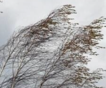 Zdjęcie - Ostrzeżenie meteorologiczne o silnym wietrze