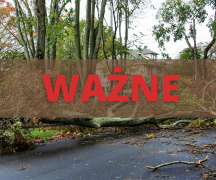 Zdjęcie - Budynek mieszkalny lub gospodarczy został uszkodzony podczas wichury? Zgłoś szkodę do Urzędu Gminy w Płużnicy