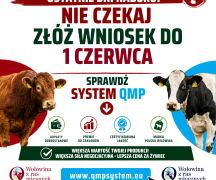 Zdjęcie - Ekoschemat „Dobrostan zwierząt” Dodatkowe pieniądze dla hodowców z QMP – tylko do 1 czerwca!