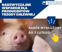 Zdjęcie - Pomoc z PROW dla hodowców świń: czas na składanie wniosków wydłużony do 7 lutego