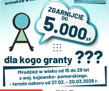 Zdjęcie - Nabór wniosków w konkursie ,,Młoda Inicjatywa