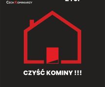 Zdjęcie - Kampania - 