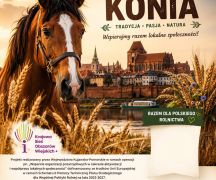Zdjęcie - XXIII Dzień Konia w Płużnicy