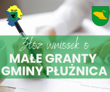 Zdjęcie - Małe granty Gminy Płużnica – ogłoszenie naboru