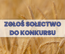 Zdjęcie - Nabór do konkursu na witacze dożynkowe przedłużony!