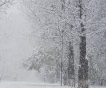 Zdjęcie - Ostrzeżenie meteorologiczne o SILNYM MROZIE