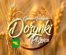 Zdjęcie - Dożynki Gminno-Parafialne Płużnica 2024