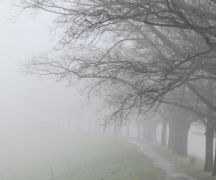 Zdjęcie - Ostrzeżenie meteorologiczne - gęsta mgła