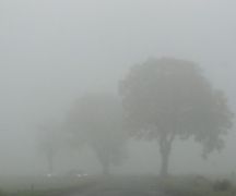 Zdjęcie - Ostrzeżenie meteorologiczne - gęsta mgła