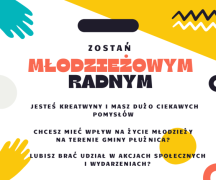 Zdjęcie - Wybory do Młodzieżowej Rady Gminy Płużnica