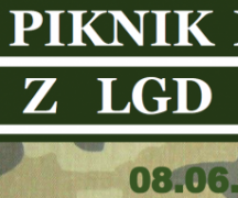 Zdjęcie - Piknik militarny