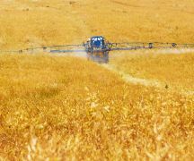 Zdjęcie - Rolniku - przyjdź na Forum Rolnicze 6 marca