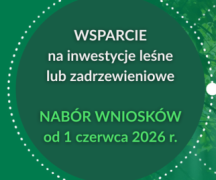 Zdjęcie - Wsparcie na inwestycje leśne lub zadrzewieniowe