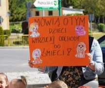 Zdjęcie - Akcja 