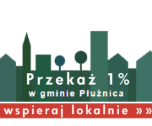 Zdjęcie - Rozlicz PIT 2021 w gminie Płużnica