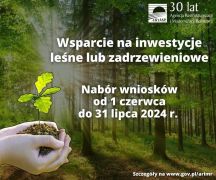 Zdjęcie - Pieniądze na inwestycje leśne lub zadrzewieniowe