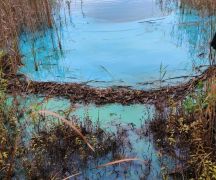 Zdjęcie - Sinice na jeziorem Wieldządzkim