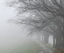 Zdjęcie - Ostrzeżenia meteorologiczne - gęsta mgła