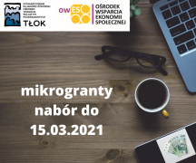 Zdjęcie - Nabór na mikrogranty z OWES Tłok