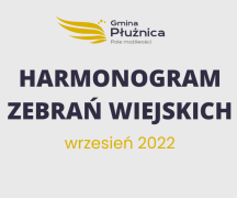 Zdjęcie - Harmonogram Zebrań Wiejskich 2022