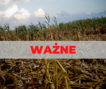 Zdjęcie - Pilne! Informacja dla rolników