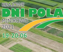 Zdjęcie - Krajowe Dni Pola 2021