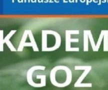 Zdjęcie - Akademia GOZ