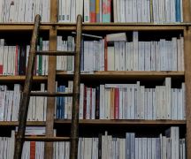 Zdjęcie - Kiedy będą czynne biblioteki?