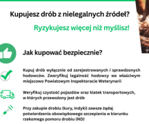 Zdjęcie - Informacja dotycząca handlu drobiem