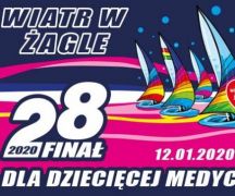 Zdjęcie - WOŚP w gminie Płużnica