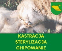 Zdjęcie - Rusza program kastracji, sterylizacji i czipowania 
