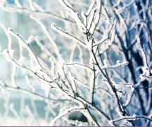 Zdjęcie - Ostrzeżenie meteorologiczne - silny mróz