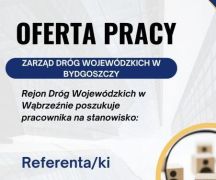 Zdjęcie - Oferta pracy