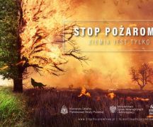 Zdjęcie - „Stop Pożarom Traw”