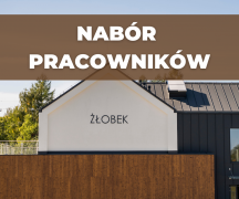 Zdjęcie - Zostań opiekunem w Żłobku Gminnym w Płużnicy
