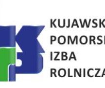 Zdjęcie - KONKURS 