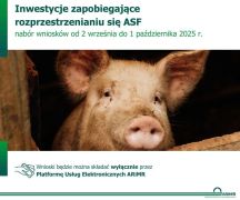 Zdjęcie - Inwestycje zapobiegające rozprzestrzenianiu się ASF - wkrótce start naboru