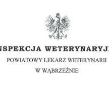 Zdjęcie - Informacja dla hodowców świń powiatu wąbrzeskiego