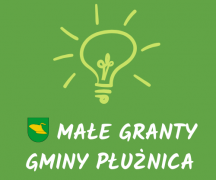 Zdjęcie - Już są! Wyniki konkursu Małe granty Gminy Płużnica 2019